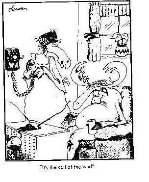 Call of the Wild.jpg